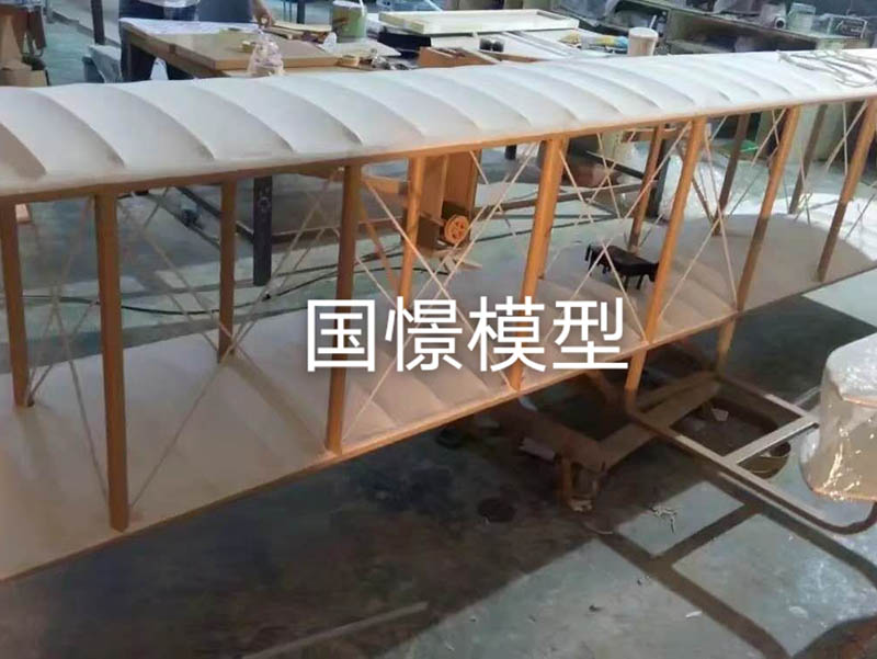 兴业县飞机模型
